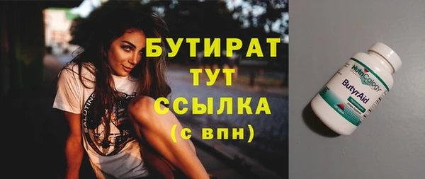 сатива Чердынь