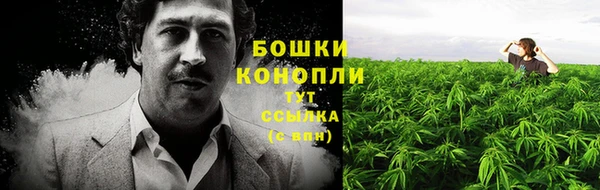 кокс Козловка