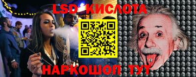 2c-b Кингисепп