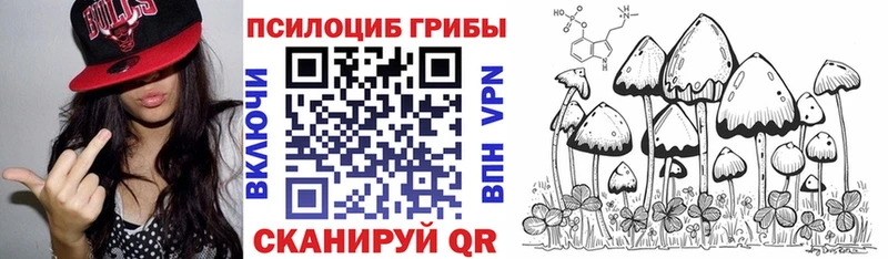 МЕГА как зайти  Лыткарино  Псилоцибиновые грибы Psilocybe 