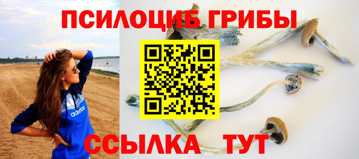Галлюциногенные грибы Magic Shrooms  наркошоп  Вход с VPN  Лыткарино  Галлюциногенные грибы MAGIC MUSHROOMS 